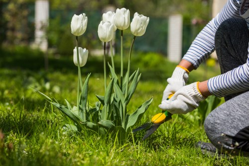 Professionally trimmed hedges in a well-maintained Enfield garden