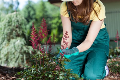 Winter protection for plants in an Enfield garden