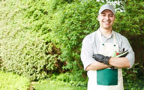Seasonal garden maintenance by experts in Enfield