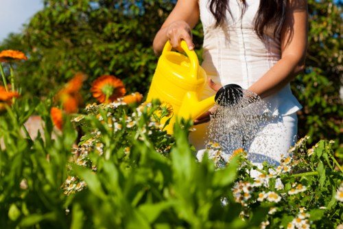 Sustainable landscaping with native plants in Enfield
