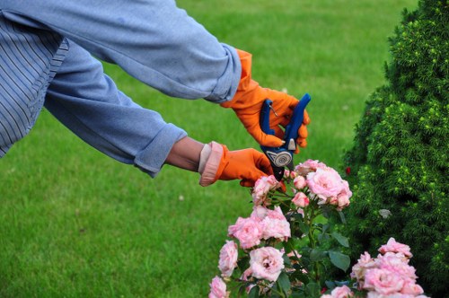Enfield lawn care professionals at work