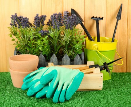 Spring garden maintenance activities in Enfield