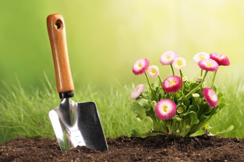 Professional landscaper designing an outdoor space in Enfield